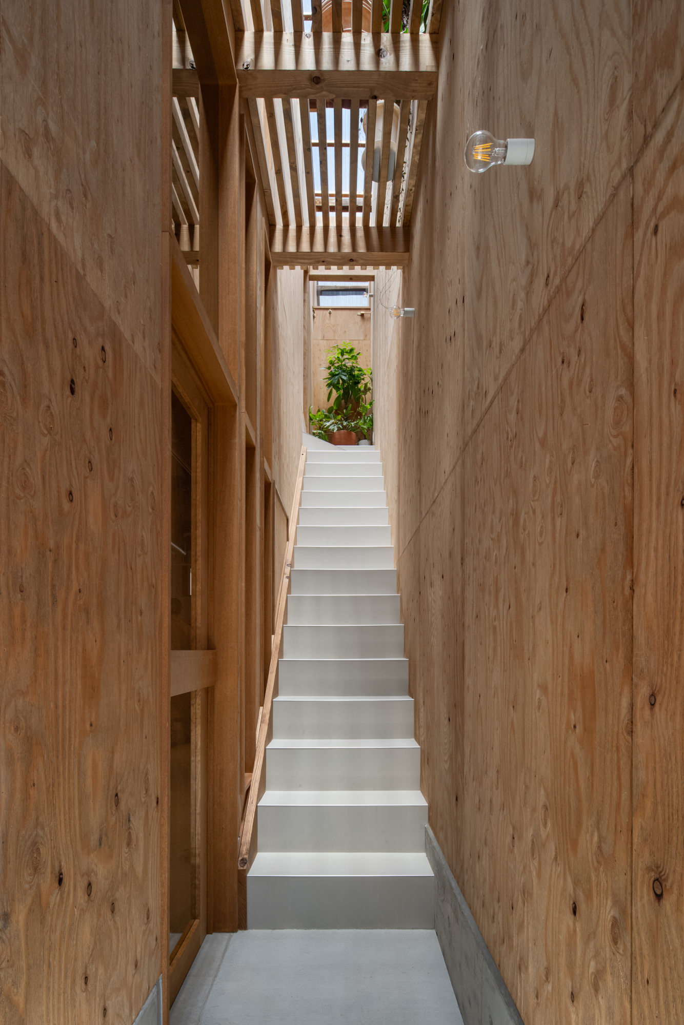 建築写真、美容院の階段空間、天窓から自然光を取り込む