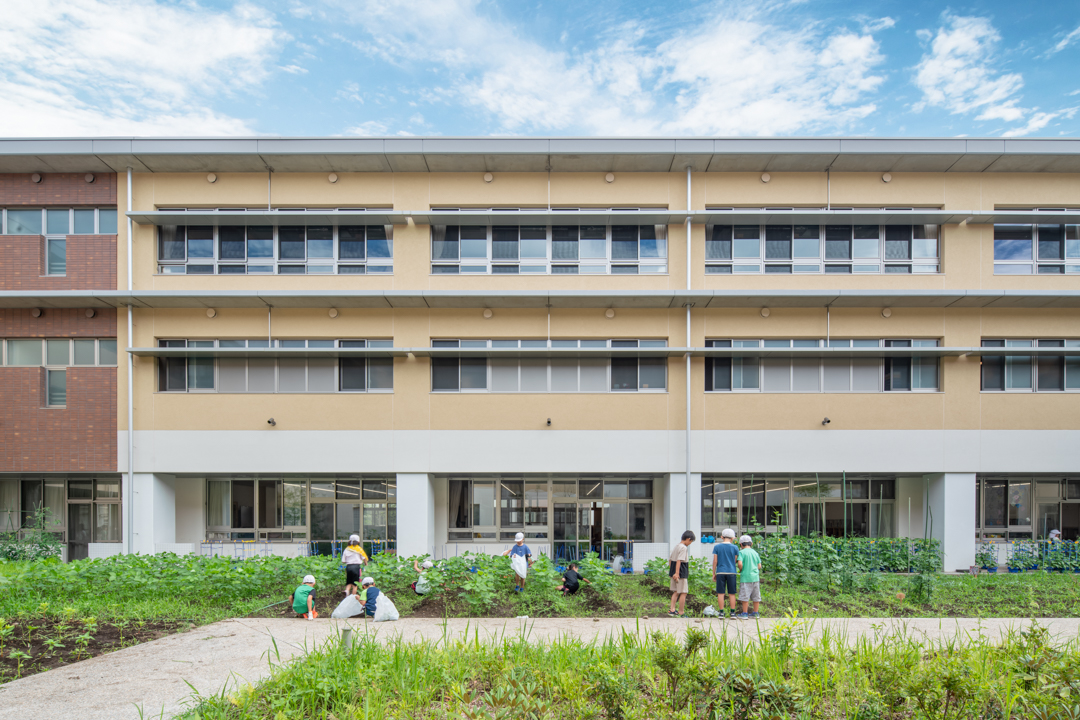 建築写真撮影 小学校の外観と中庭の菜園 育てている野菜の世話をする子どもたち