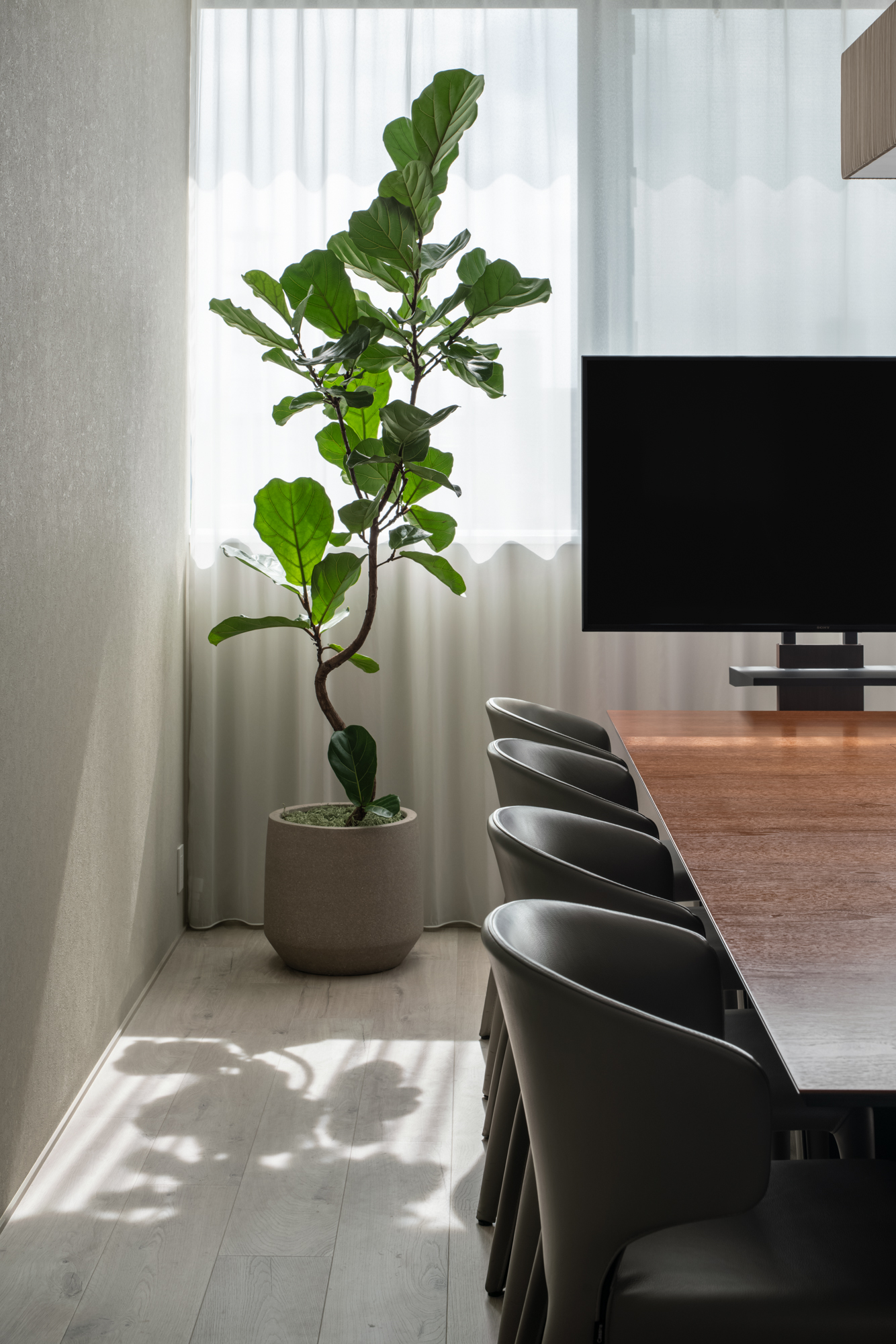 建築写真撮影　観葉植物